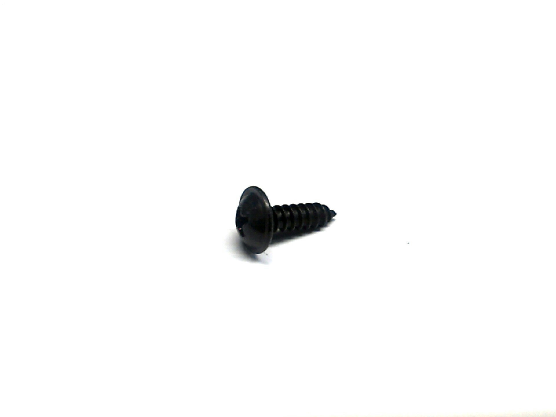 Bmw Oem License Plate Screws